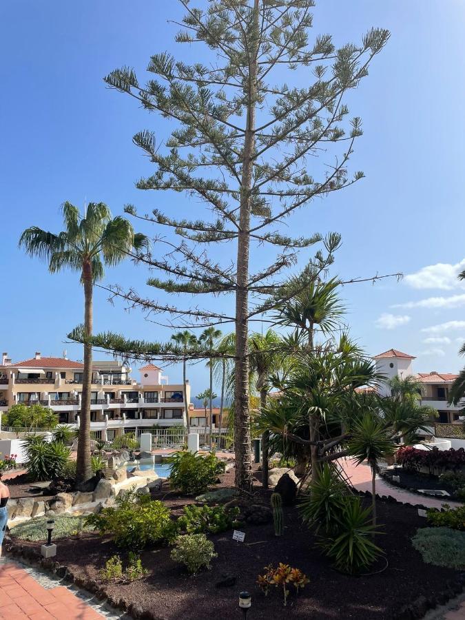 Paraiso Albatros, Beautiful Complex San Miguel de Abona Exterior photo